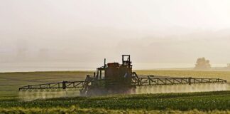 Jak wykryć glifosat w żywności?