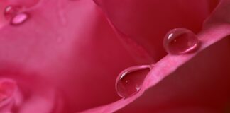 Jak sprawdzić wilgotność w terrarium?