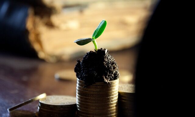 Jak długo trzeba mieć akcje Aby otrzymać dywidendę?