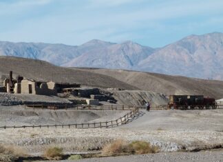 Ile boraksu do prania?