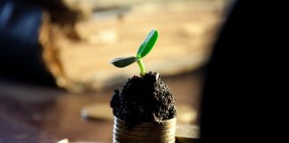 Jak długo trzeba trzymać akcje żeby dostać dywidendę?