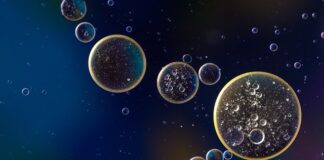 Na jakim oleju smażyć mięso?