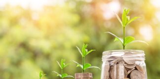 Co zrobić z nadmiarem gotówki?