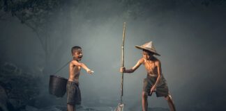 Jakie ryby nie potrzebują filtra i grzałki?