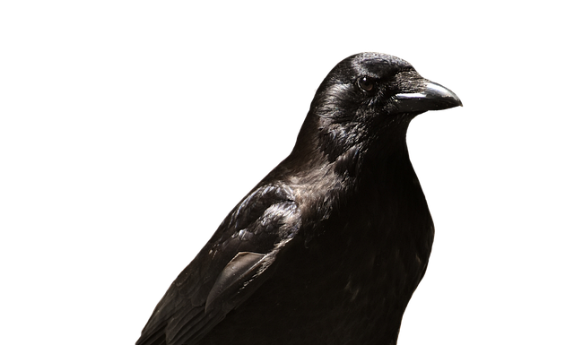 Czy uczelnia może żądać zwolnienia lekarskiego?