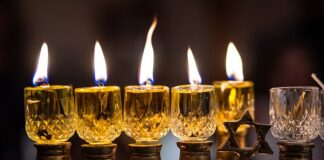 Jak wysoko nad roślinami mają być lampy LED?