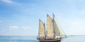 Jaki żagiel do windsurfingu?