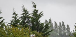 Na czym polega cross-country?