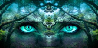 Od czego zależy postrzeganie fitness klubu?