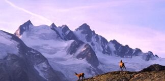 Co daje trekking?