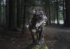 Co to jest Harness?