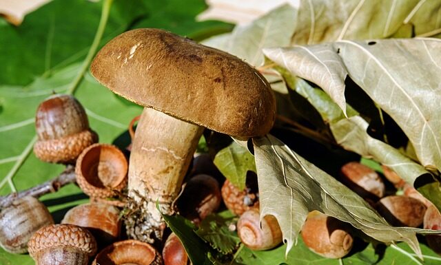 Jaki filc na torebkę?