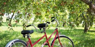 Czym charakteryzuje się tandem?